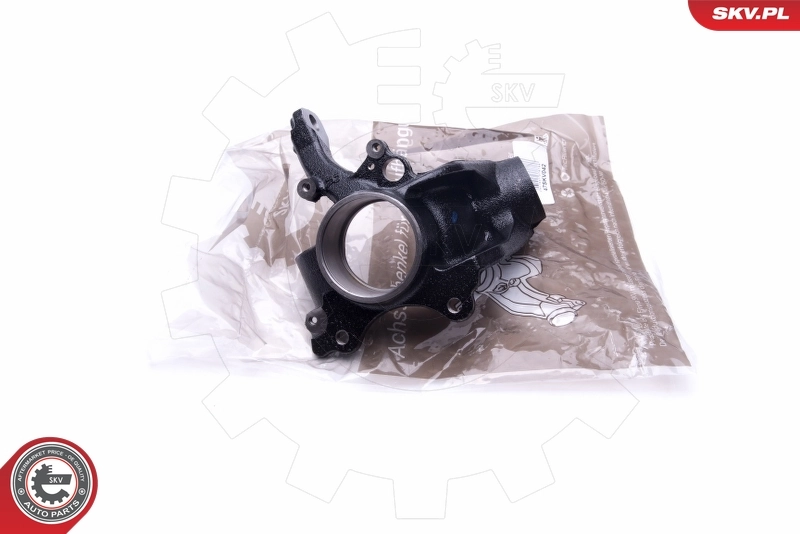 Steering Knuckle, wheel suspension